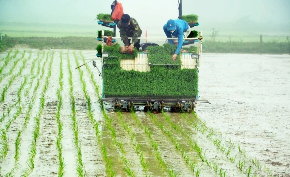 Nghệ An tạo đột phá trong phát triển nông nghiệp sạch, nông nghiệp chất lượng cao Nghệ An tạo đột phá trong phát triển nông nghiệp sạch, nông nghiệp chất lượng cao