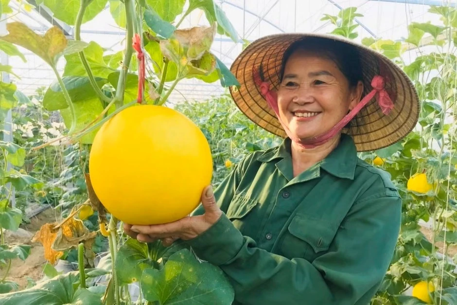 Nghệ An tích cực đưa nghị quyết vào cuộc sống Nghệ An tích cực đưa nghị quyết vào cuộc sống