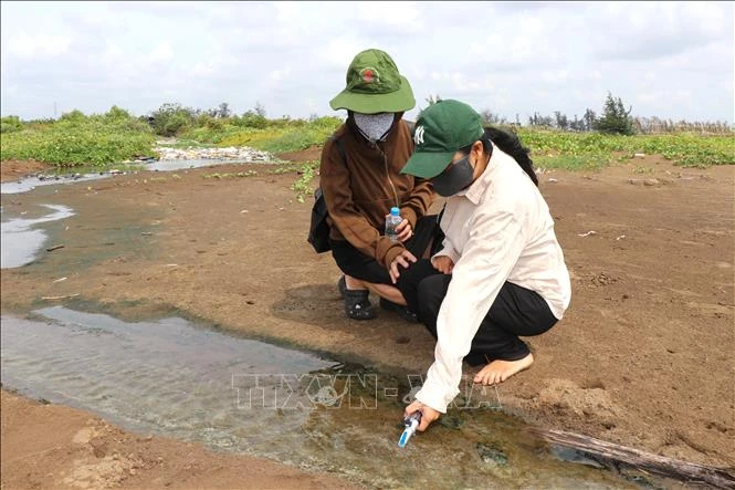 Nghề nuôi nghêu Vĩnh Long đối diện nguy cơ suy giảm hiệu quả Nghề nuôi nghêu Vĩnh Long đối diện nguy cơ suy giảm hiệu quả