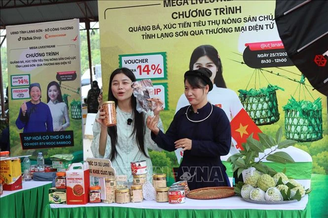 Nghị quyết 66-NQ/TW: Siết trách nhiệm các chủ thể trong hệ sinh thái thương mại điện tử Nghị quyết 66-NQ/TW: Siết trách nhiệm các chủ thể trong hệ sinh thái thương mại điện tử
