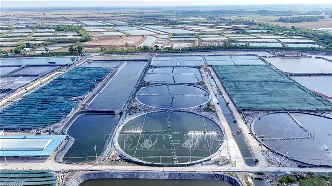 Nghị quyết 68-NQ/TW: Năm giải pháp để kinh tế tư nhân bứt phá Nghị quyết 68-NQ/TW: Năm giải pháp để kinh tế tư nhân bứt phá