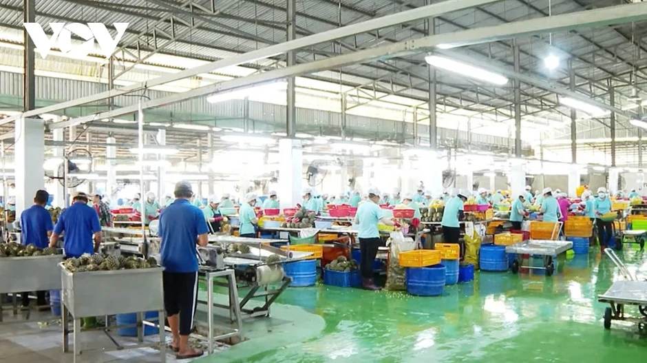 Nghị quyết 79: Cú hích mạnh mẽ cho doanh nghiệp nhà nước Nghị quyết 79: Cú hích mạnh mẽ cho doanh nghiệp nhà nước