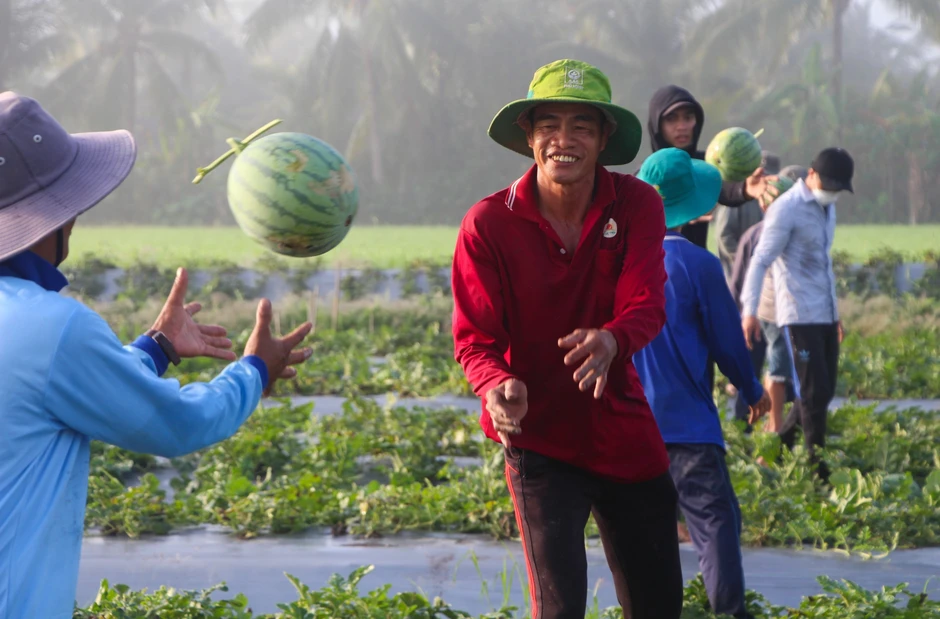 Nghị quyết 79: Đánh thức nguồn lực hàng triệu tỷ đồng Nghị quyết 79: Đánh thức nguồn lực hàng triệu tỷ đồng