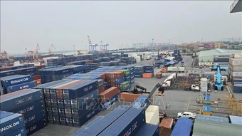 Nghị quyết số 20-NQ/TW:&nbsp; Đón cơ hội từ chiến lược xây dựng quốc gia biển mạnh