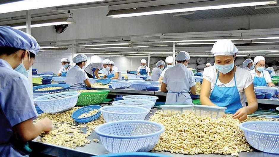 Nghịch lý mặt hàng top đầu thế giới của Việt Nam: Nhập khẩu cao hơn xuất khẩu Nghịch lý mặt hàng top đầu thế giới của Việt Nam: Nhập khẩu cao hơn xuất khẩu