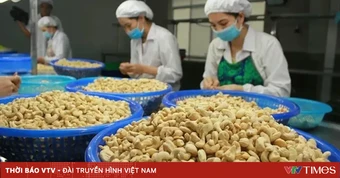 Nghịch lý Việt Nam nhập khẩu hạt điều cao hơn xuất khẩu
