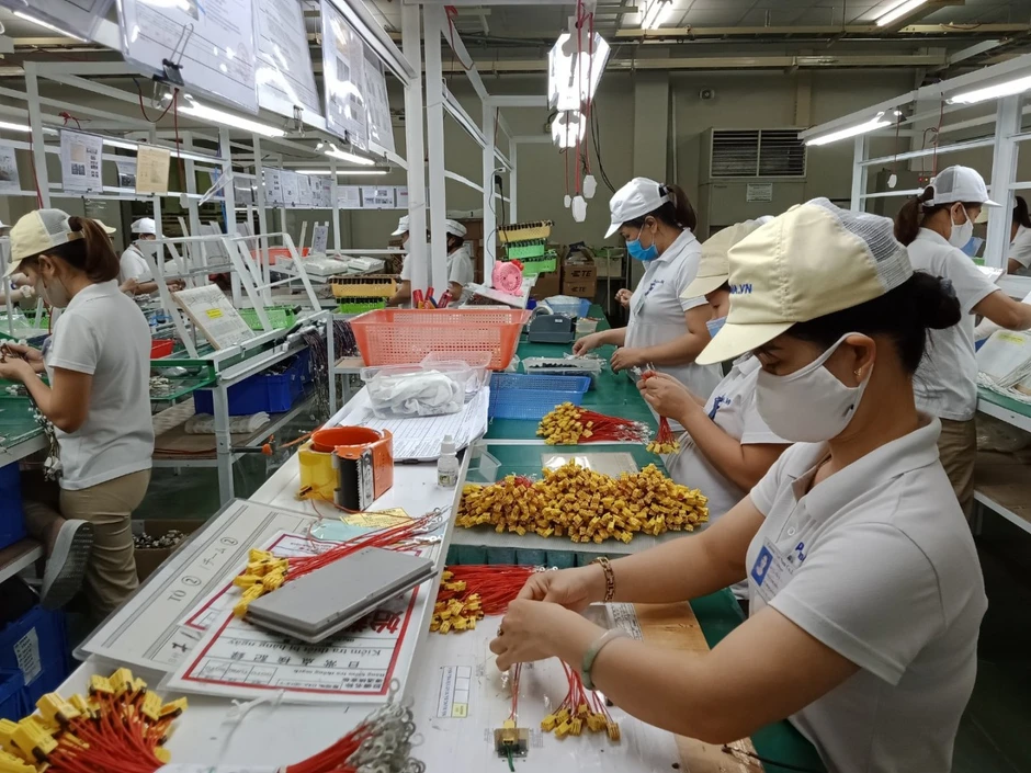 Nghiêm cấm doanh nghiệp sử dụng thông tin của cá nhân không chi trả thu nhập để quyết toán thuế thu nhập cá nhân Nghiêm cấm doanh nghiệp sử dụng thông tin của cá nhân không chi trả thu nhập để quyết toán thuế thu nhập cá nhân