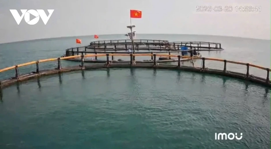 Ngư dân chuyển sang nuôi trồng bền vững, giảm áp lực khai thác biển Ngư dân chuyển sang nuôi trồng bền vững, giảm áp lực khai thác biển