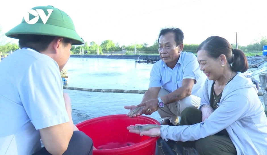 Ngư dân chuyển sang nuôi trồng bền vững, giảm áp lực khai thác biển Ngư dân chuyển sang nuôi trồng bền vững, giảm áp lực khai thác biển