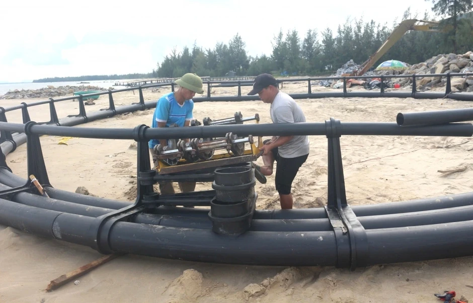 Ngư dân chuyển sang nuôi trồng bền vững, giảm áp lực khai thác biển Ngư dân chuyển sang nuôi trồng bền vững, giảm áp lực khai thác biển