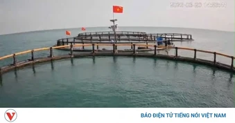 Ngư dân chuyển sang nuôi trồng bền vững, giảm áp lực khai thác biển