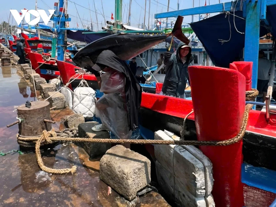 Ngư dân Gia Lai trúng đậm cá ngừ, có con nặng hơn 300kg Ngư dân Gia Lai trúng đậm cá ngừ, có con nặng hơn 300kg