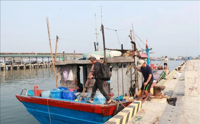 Ngư dân nỗ lực vươn khơi trước khó khăn 'kép' Ngư dân nỗ lực vươn khơi trước khó khăn 'kép'