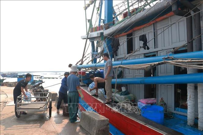 Ngư dân nỗ lực vươn khơi trước khó khăn 'kép' Ngư dân nỗ lực vươn khơi trước khó khăn 'kép'