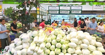 Ngược dòng giữa cơn bão giá