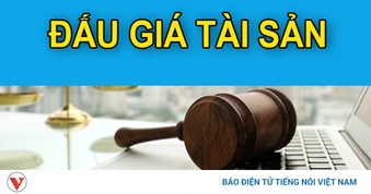 Người nào không được phép tham gia đấu giá tài sản?