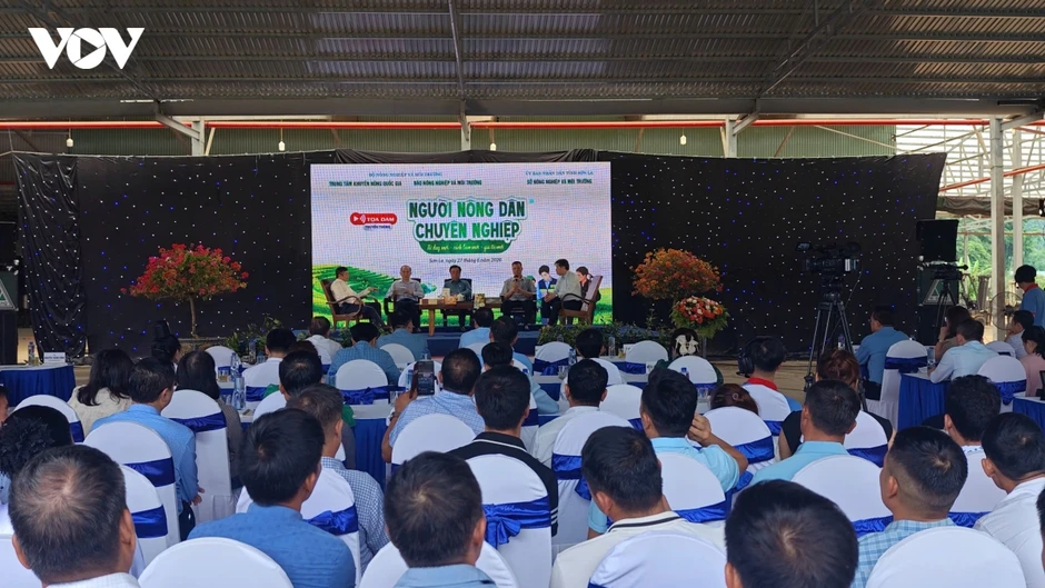 Người nông dân chuyên nghiệp - nền tảng cho nền nông nghiệp xanh và hội nhập Người nông dân chuyên nghiệp - nền tảng cho nền nông nghiệp xanh và hội nhập