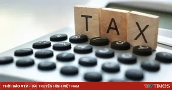 Ngưỡng xử lý hành vi trốn thuế: Nhiều ý kiến đề xuất điều chỉnh