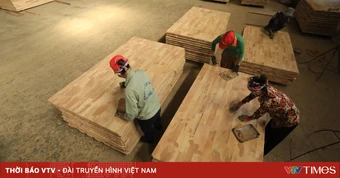 Nguy cơ ngành gỗ thiếu nguyên liệu sản xuất
