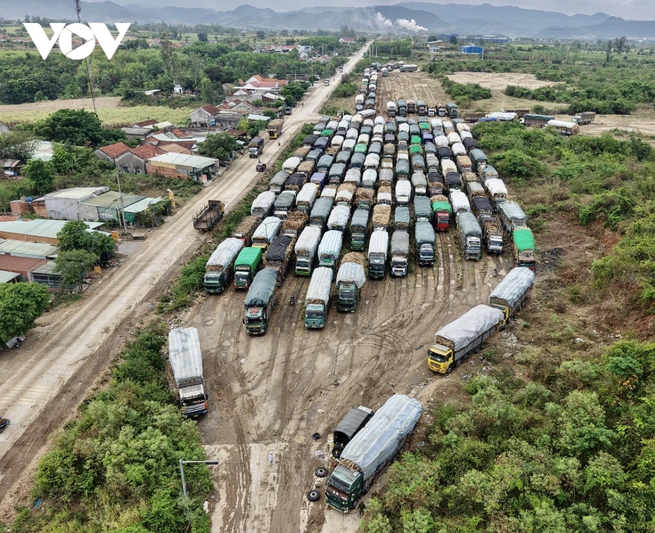 Nhà máy mía đường chậm thu mua, người trồng mía ở Đắk Lắk đứng ngồi không yên Nhà máy mía đường chậm thu mua, người trồng mía ở Đắk Lắk đứng ngồi không yên
