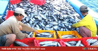 Nhận diện những 'nút thắt' để xuất khẩu thủy sản cán đích 12,5 tỷ USD