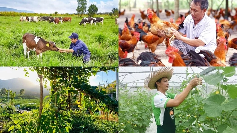 Nhiều chính sách kinh tế có hiệu từ tháng 8/2026 Nhiều chính sách kinh tế có hiệu từ tháng 8/2026