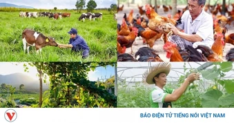 Nhiều chính sách kinh tế có hiệu từ tháng 8/2026