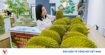 Nhiều hạng mục Lễ hội Sầu riêng còn chậm, Đắk Lắk yêu cầu đẩy nhanh tiến độ