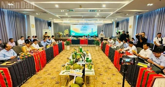 Nhiều hoạt động hấp dẫn tại Lễ hội Sầu riêng Đắk Lắk 2026