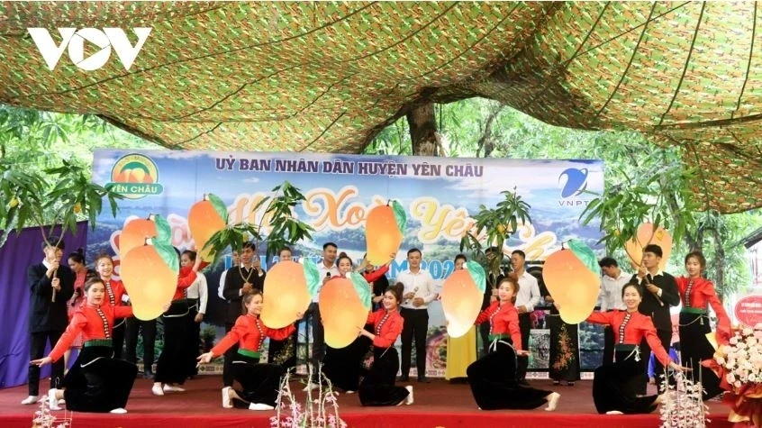 Nhiều lễ hội quả sẽ diễn ra tại Sơn La trong tháng 5 Nhiều lễ hội quả sẽ diễn ra tại Sơn La trong tháng 5