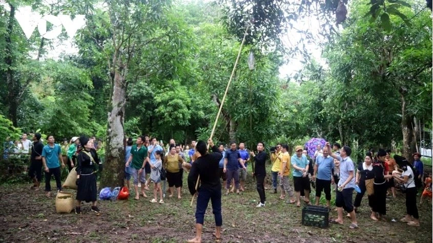 Nhiều lễ hội quả sẽ diễn ra tại Sơn La trong tháng 5 Nhiều lễ hội quả sẽ diễn ra tại Sơn La trong tháng 5