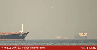 Nhiều tàu vận tải chờ mở đường qua eo biển Hormuz
