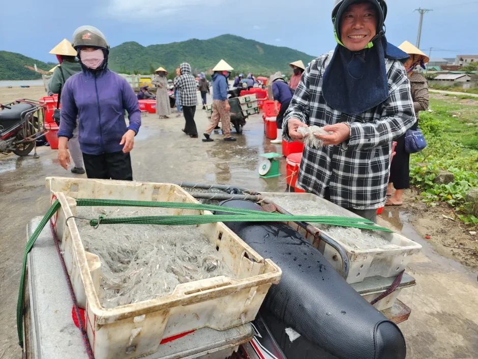 Nhộn nhịp mùa cá cơm bún trên vùng biển Lộc Hà và Thạch Khê Nhộn nhịp mùa cá cơm bún trên vùng biển Lộc Hà và Thạch Khê