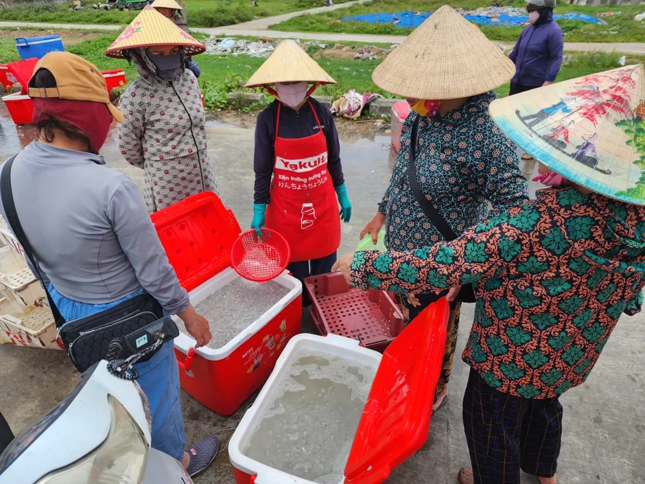 Nhộn nhịp mùa cá cơm bún trên vùng biển Lộc Hà và Thạch Khê Nhộn nhịp mùa cá cơm bún trên vùng biển Lộc Hà và Thạch Khê