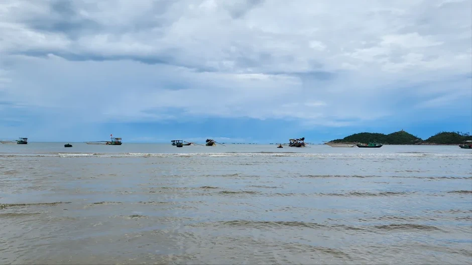Nhộn nhịp mùa cá cơm bún trên vùng biển Lộc Hà và Thạch Khê Nhộn nhịp mùa cá cơm bún trên vùng biển Lộc Hà và Thạch Khê