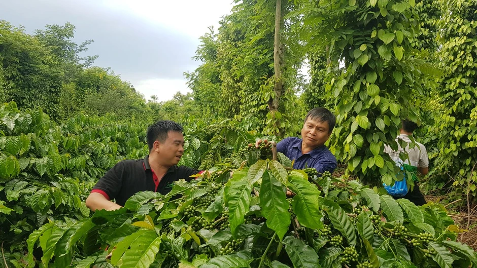 Những khoản thu nhập nào sẽ chính thức được "xóa nợ" thuế? Những khoản thu nhập nào sẽ chính thức được "xóa nợ" thuế?