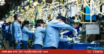 Niềm tin doanh nghiệp châu Âu vào Việt Nam tăng mạnh