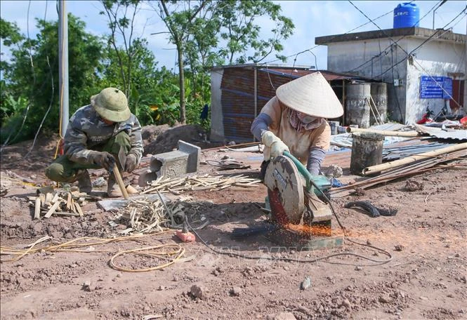 Ninh Bình đẩy nhanh tiến độ công trình phòng, chống thiên tai Ninh Bình đẩy nhanh tiến độ công trình phòng, chống thiên tai