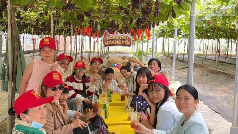 Ninh Phước: Từ vùng quê nông nghiệp hướng đến đô thị tương lai Ninh Phước: Từ vùng quê nông nghiệp hướng đến đô thị tương lai