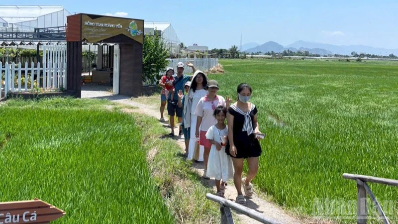 Ninh Phước: Từ vùng quê nông nghiệp hướng đến đô thị tương lai Ninh Phước: Từ vùng quê nông nghiệp hướng đến đô thị tương lai