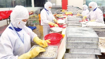 Nỗ lực giữ thị trường nông sản trọng điểm