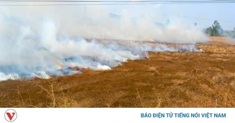Nông dân bỏ thói quen đốt đồng để trồng lúa chất lượng cao
