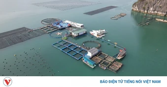 Nông dân Quảng Ninh kỳ vọng thêm động lực cho nông nghiệp hiện đại