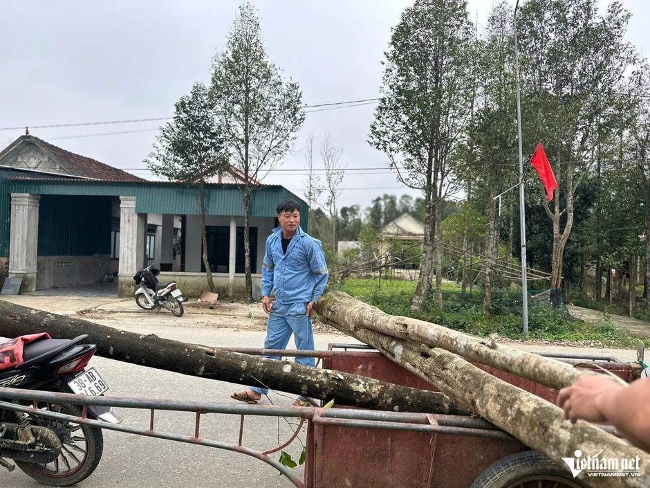 Nông dân xã miền núi Hà Tĩnh thu trăm tỷ nhờ 'tìm vàng' trong thân cây Nông dân xã miền núi Hà Tĩnh thu trăm tỷ nhờ 'tìm vàng' trong thân cây