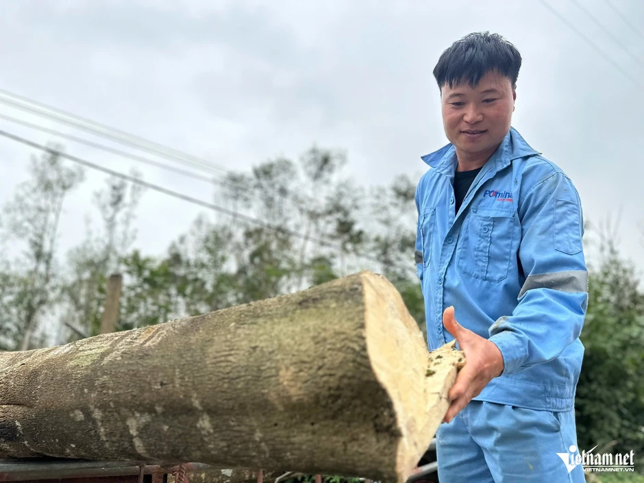 Nông dân xã miền núi Hà Tĩnh thu trăm tỷ nhờ 'tìm vàng' trong thân cây Nông dân xã miền núi Hà Tĩnh thu trăm tỷ nhờ 'tìm vàng' trong thân cây