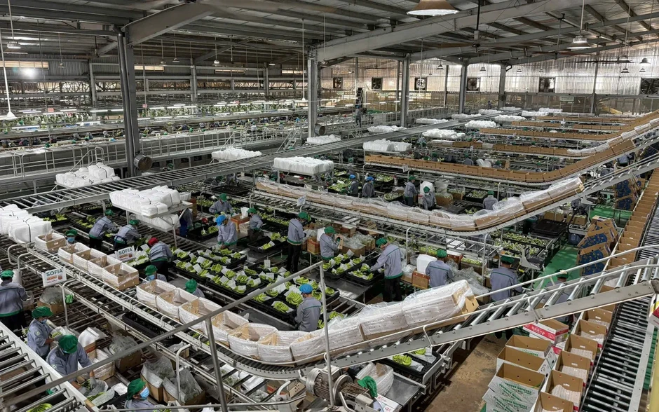 Nông nghiệp CNC: Cuộc chơi lớn trên cánh đồng Việt Nông nghiệp CNC: Cuộc chơi lớn trên cánh đồng Việt
