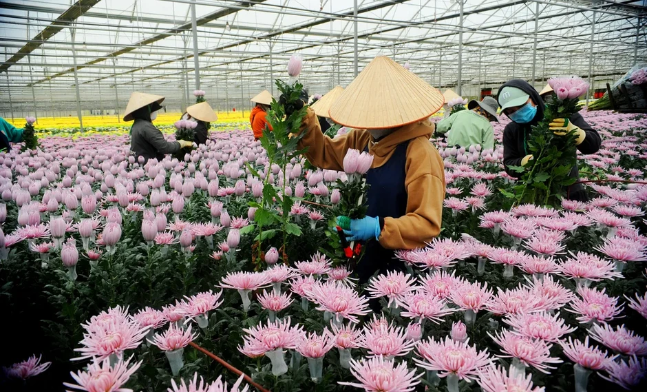 Nông nghiệp CNC: Cuộc chơi lớn trên cánh đồng Việt Nông nghiệp CNC: Cuộc chơi lớn trên cánh đồng Việt