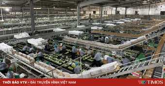 Nông nghiệp CNC: Cuộc chơi lớn trên cánh đồng Việt