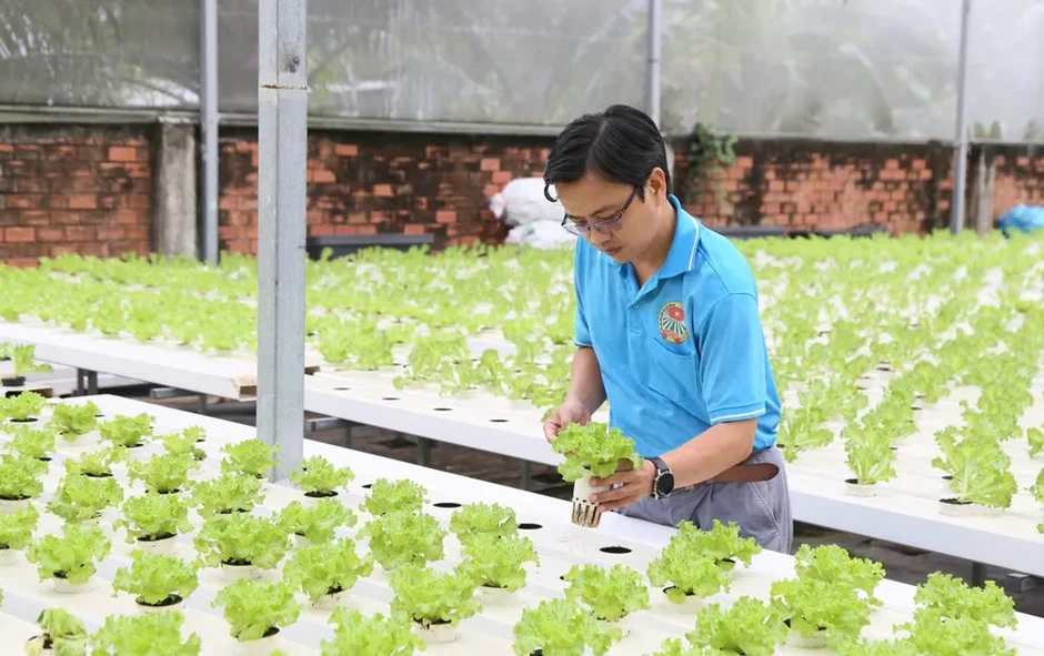 Nông nghiệp đô thị chuyển mình Nông nghiệp đô thị chuyển mình