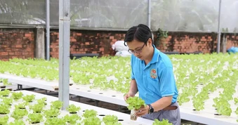 Nông nghiệp đô thị chuyển mình